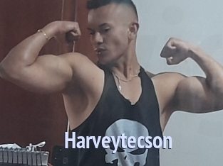 Harveytecson