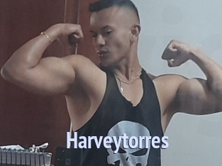 Harveytorres