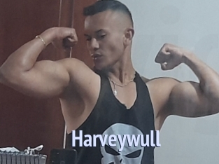 Harveywull