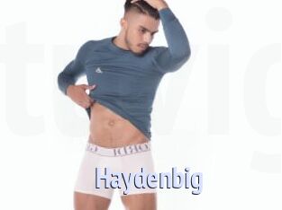 Haydenbig
