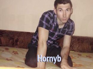 Hornyb
