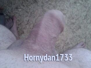 Hornydan1733