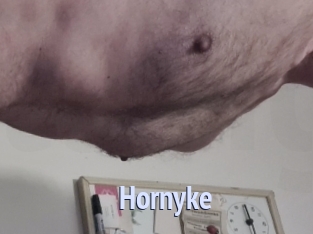 Hornyke