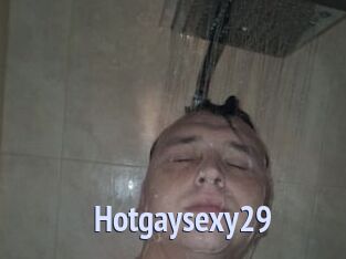 Hotgaysexy29