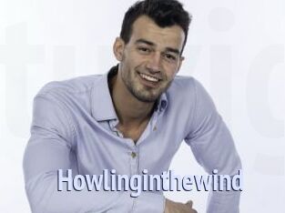 howlinginthewind Tube video gay