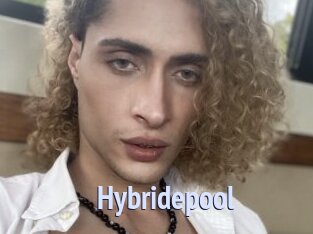 Hybridepool