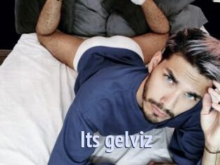 Its_gelviz