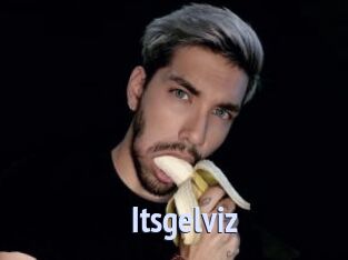 Itsgelviz