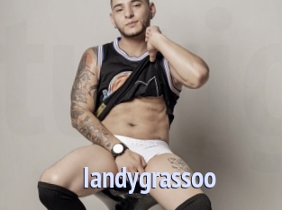 iandygrassoo Tube video gay