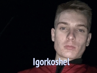 Igorkoshel