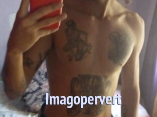 Imagopervert