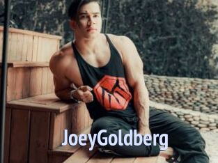 JoeyGoldberg