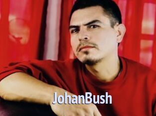 JohanBush