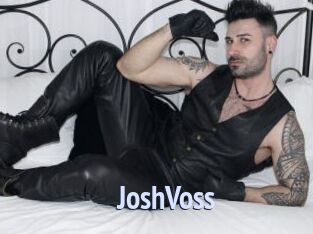 JoshVoss