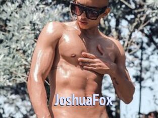 JoshuaFox