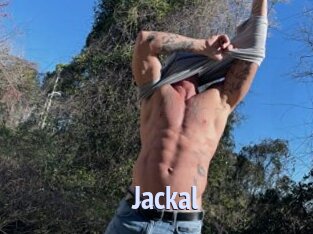 Jackal