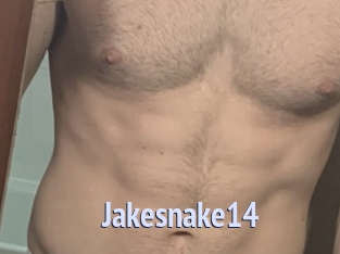Jakesnake14