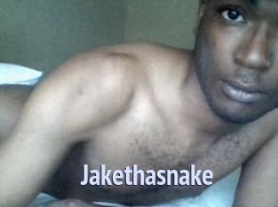 Jake_tha_snake