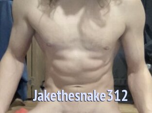 Jakethesnake312