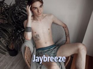 Jaybreeze