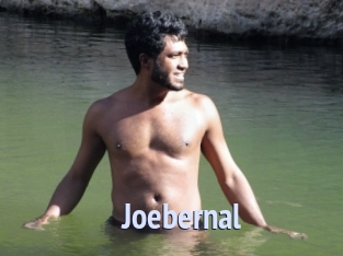 Joebernal