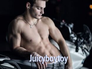 Juicyboytoy