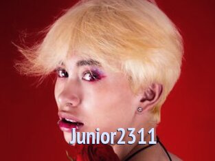 Junior2311