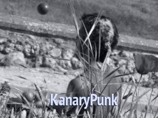 KanaryPunk