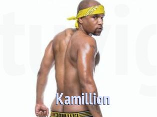 Kamillion