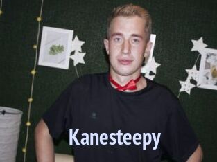 Kanesteepy