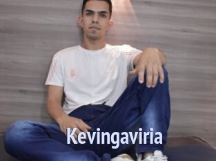Kevingaviria