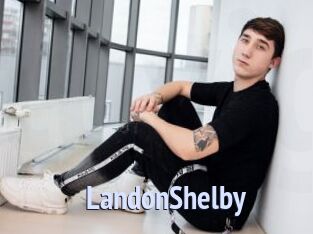 LandonShelby Tube video gay