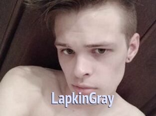 LapkinGray