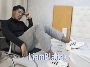 LiamBladek