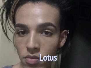 Lotus Tube video gay