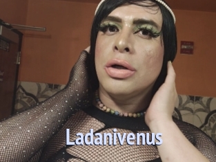 Ladanivenus
