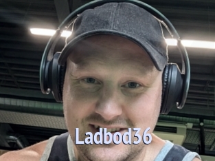 Ladbod36