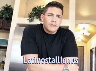Latinostallionus