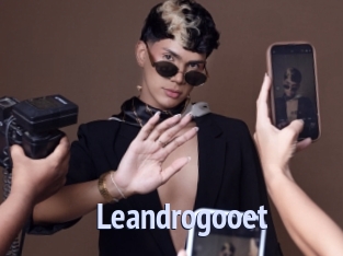 Leandrogooet