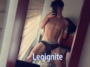 Leoignite