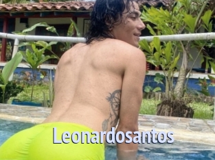 Leonardosantos