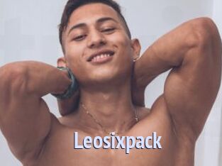 Leosixpack
