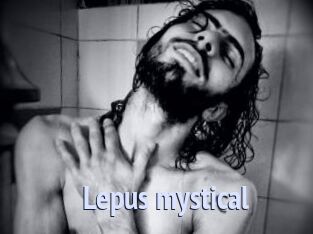 Lepus_mystical