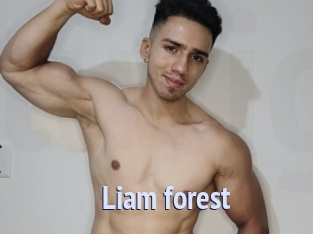Liam_forest