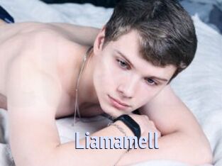 Liamamell