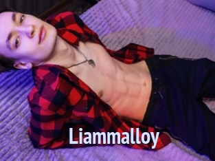 Liammalloy