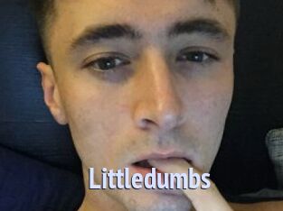 Littledumbs