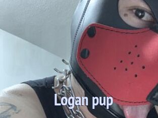 Logan_pup