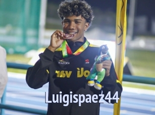 Luigispaez44