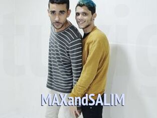 MAXandSALIM